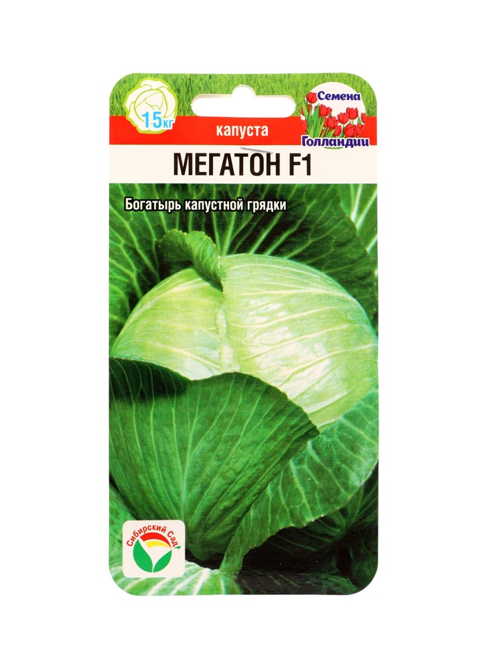 Семена Капуста белокочанная Мегатон F1 10 шт. - Фото 1