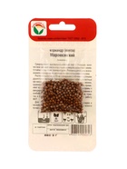 Семена Кориандр «Марокканский», 3 г, «Сибирский сад» (комплект 3 шт) - фото 68018364