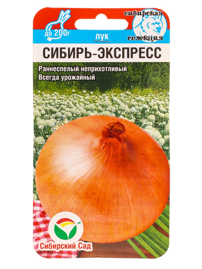 Семена Лук репчатый Сибирь-Экспресс 1г - Фото 1