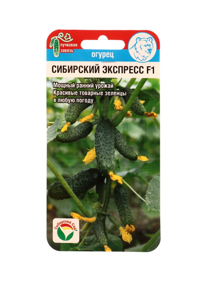 Семена Огурец «Сибирский Экспресс», F1, 7 шт., «Сибирский сад»