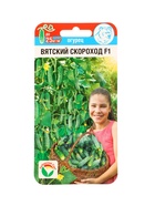 Семена Огурец Вятский скороход 6шт  (артикул 10960693)  большой выбор товаров оптом и в розницу по низким ценам с доставкой