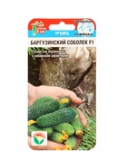 Семена Огурец БАРГУЗИНСКИЙ СОБОЛЕК F1 7шт  (артикул 10960696)  большой выбор товаров оптом и в розницу по низким ценам с доставкой