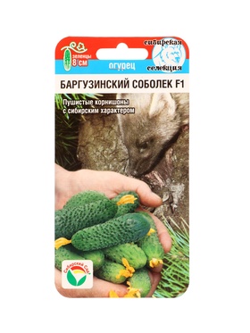 Семена Огурец БАРГУЗИНСКИЙ СОБОЛЕК F1 7шт