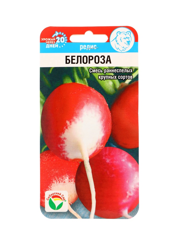 Семена Редис Белороза смесь 2 г - Фото 1