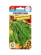 Семена Рукола Узколистная дикая 0,5г - фото 66042601