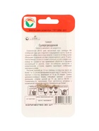 Семена Томат «Супергроздевой», 20 шт., «Сибирский сад» (комплект 2 шт) - фото 67929608