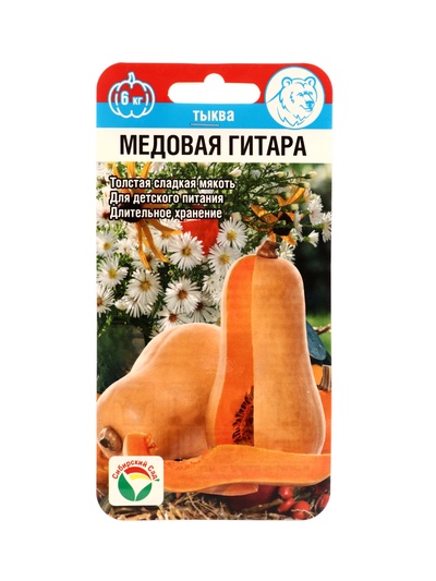 Семена Тыква Медовая гитара 5шт