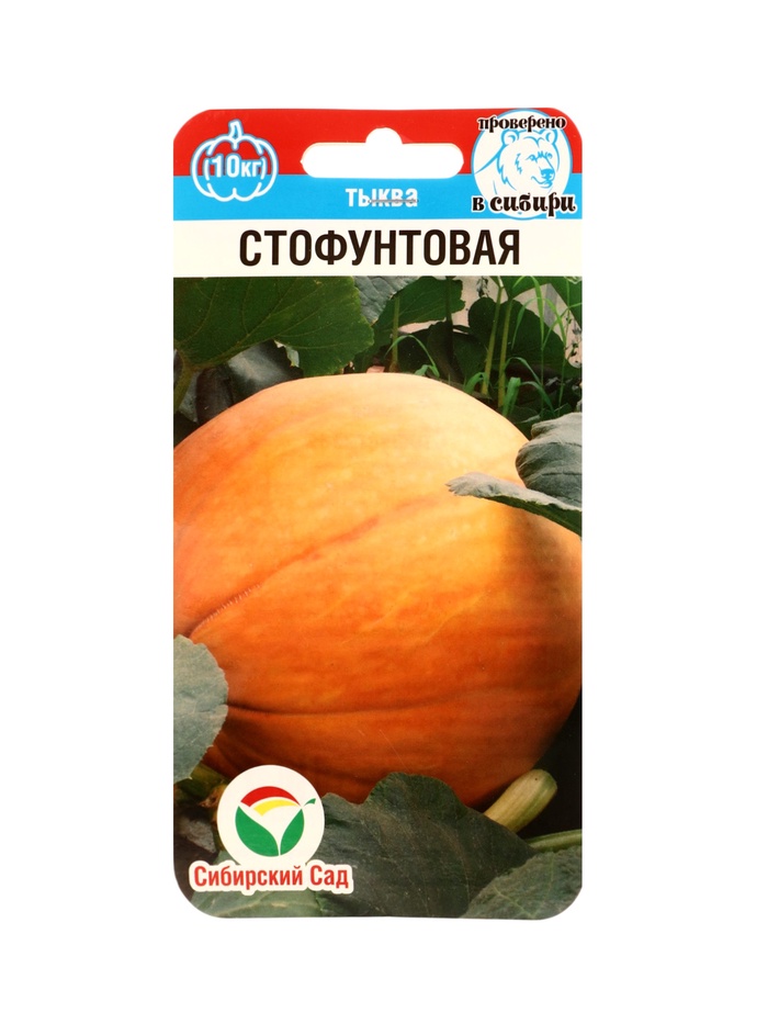 Семена Тыква Стофунтовая 5шт - Фото 1