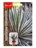 Семена цветов Агава Сизаль 10шт. 12.29 г. (комплект 2 шт) - фото 69173304