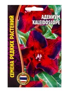 Семена цветов Адениум Kaleidoscope, 3 шт. «Григорьев» - Фото 1