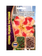 Семена цветов Адениум Mahatap 3 шт. 12.29 г. - фото 809454466