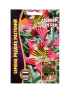 Семена цветов Адениум Pam Pam 3 шт.  12.29 г. - фото 809454470