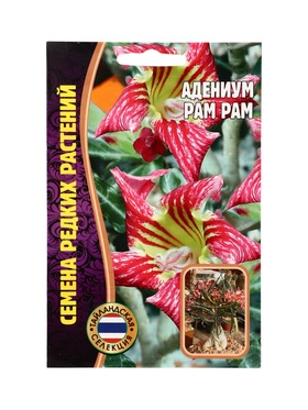 Семена цветов Адениум Pam Pam 3 шт.  12.29 г.