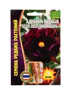 Семена цветов Адениум Triple Magenta 3 шт.  12.29 г. - фото 809454472