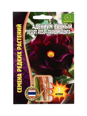 Семена цветов Адениум Triple Magenta 3 шт.  12.29 г.