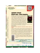 Семена цветов Адениум Triple Magenta 3 шт.  12.29 г. - фото 809454473