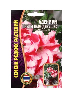 Семена цветов Адениум Прелестная Девушка  3 шт. 12.29 г.