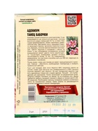 Семена цветов Адениум Танец Бабочки 3 шт.  12.29 г. - фото 809454479