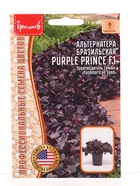 Семена цветов Альтернатера Purple Prince F1 бразильская  3шт. 12.29 г. - фото 809454488