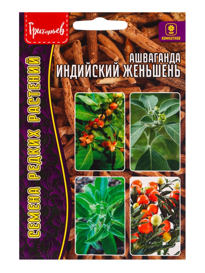 Семена цветов Ашваганда Индийский Женьшень 5шт - Фото 1