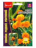 Семена цветов Буддлея «Шаровидная», 50 шт., АКЦИЯ, «Григорьев» - Фото 1