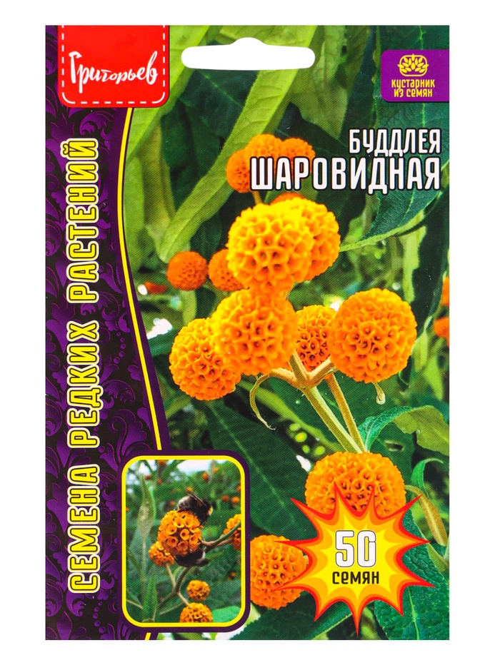Семена цветов Буддлея «Шаровидная», 50 шт., АКЦИЯ, «Григорьев» - Фото 1