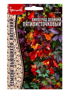 Семена Виноград Пятилисточковый девичий 5 шт. / 12.29 г.  (артикул 10967262)  большой выбор товаров оптом и в розницу по низким ценам с доставкой