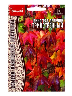Семена Виноград Триостренный девичий 0,2 г / 12.29 г.  (артикул 10967263)  большой выбор товаров оптом и в розницу по низким ценам с доставкой