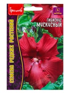 Семена цветов Гибискус Мускусный 5 шт. 12.29 г. - фото 69173338