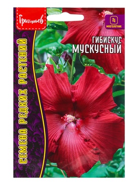 Семена цветов Гибискус Мускусный 5 шт. 12.29 г.