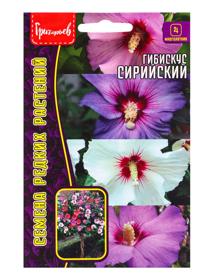 Семена цветов Гибискус «Сирийский», 7 шт. «Григорьев» - Фото 1
