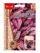 Семена цветов Гипоэстес Сплэш Select Pink (PanAmerican Seed) 4шт. 12.29 г. - фото 809477715