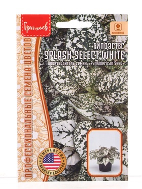 Семена цветов Гипоэстес Сплэш Селект Белый (Splash Select White)(PanAmerican Seed) 4шт.  12.29 г. 10