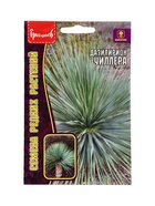 Семена цветов Дазилирион Уиллера 10 шт. / НОВИНКА  12.29 г. - фото 809454520