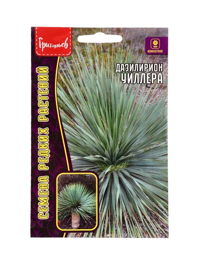 Семена цветов Дазилирион Уиллера 10 шт. / НОВИНКА 12.29 г.
