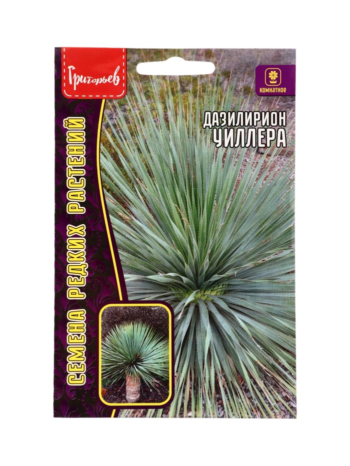 Семена цветов Дазилирион Уиллера 10 шт. / НОВИНКА  12.29 г. - Фото 1