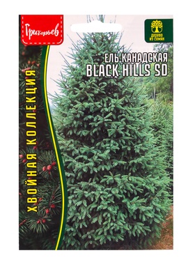 Семена Ель Black Hills SD канадская 10шт. 12.29 г.  (артикул 10967287)  большой выбор товаров оптом и в розницу по низким ценам с доставкой