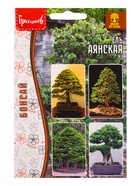 Семена Ель «Аянская», 10 шт., «Григорьев» - Фото 1