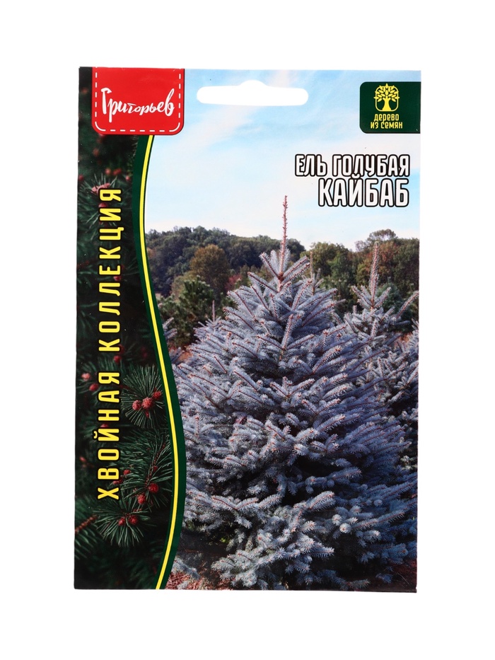 Семена Ель Кайбаб голубая (Kaibab) 15 шт. / 12.29 г. - Фото 1