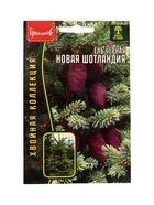 Семена цветов Ель Новая Шотландия чёрная (Nova Scotia) 20 шт. / НОВИНКА  12.29 г. - фото 809454538