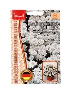 Семена цветов Иберис Snow Flurries вечнозелёный  5шт.  12.29 г. - Фото 1