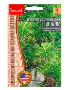 Семена цветов Изолепсис Live Wire поникший  3м.др. 12.2029 г. - фото 69173357