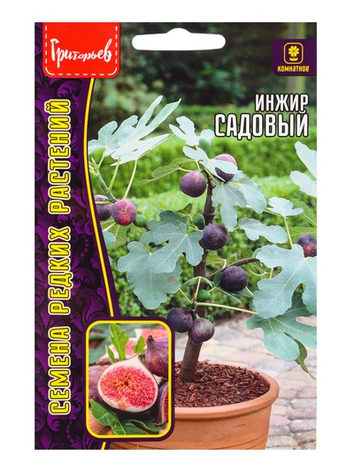 Семена Инжир Садовый (Фиговое дерево) 30шт. / 12.29 г.