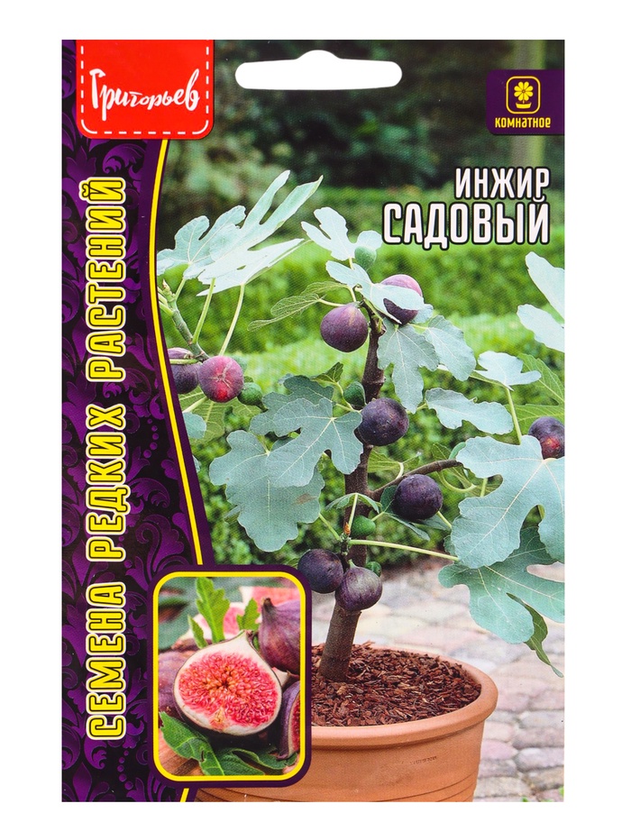 Семена Инжир Садовый (Фиговое дерево) 30шт. / 12.29 г. - Фото 1