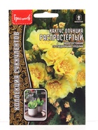 Семена цветов Кактус Распростёртый опунция 4 шт. / НОВИНКА  12.29 г. - фото 809454556