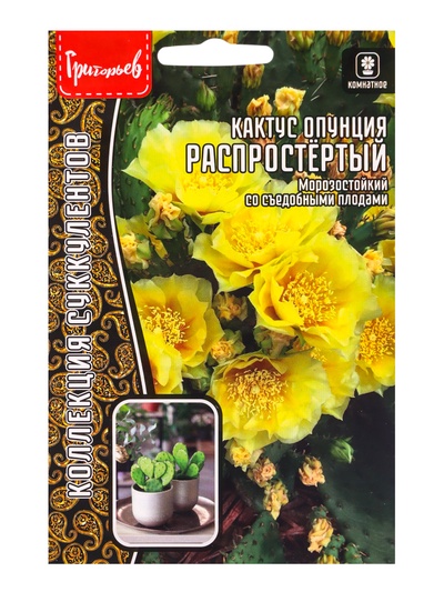 Семена цветов Кактус Распростёртый опунция 4 шт. / НОВИНКА 12.29 г.