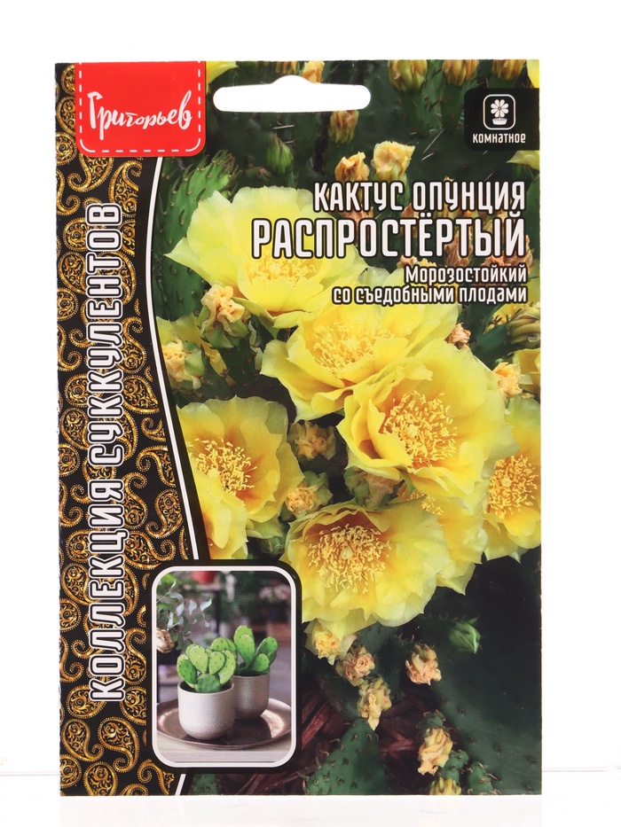 Семена цветов Кактус Распростёртый опунция 4 шт. / НОВИНКА  12.29 г. - Фото 1