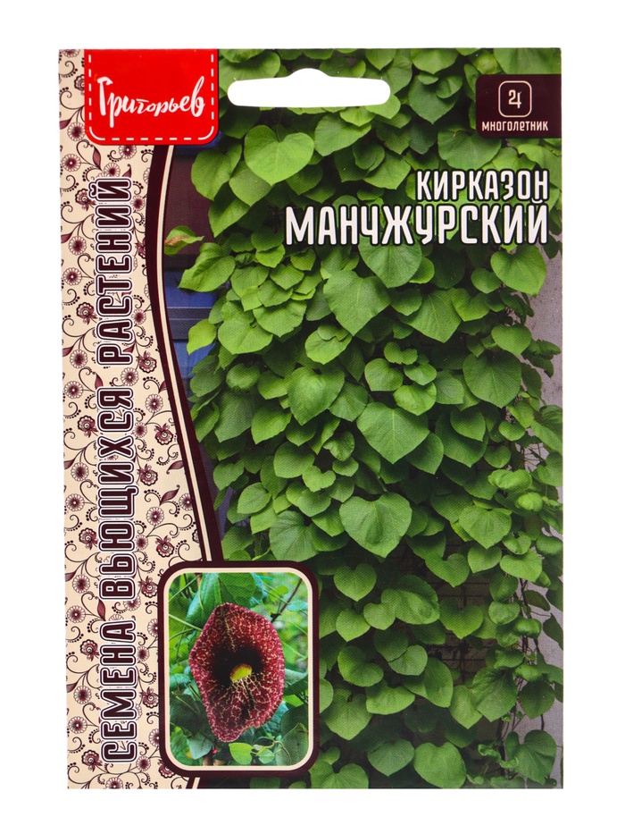 Семена цветов Кирказон Манчжурский  20шт. 12.29 г. - Фото 1