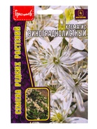 Семена цветов Клематис Винограднолистный 7 шт. 12.29 г. (комплект 2 шт) - фото 69173372