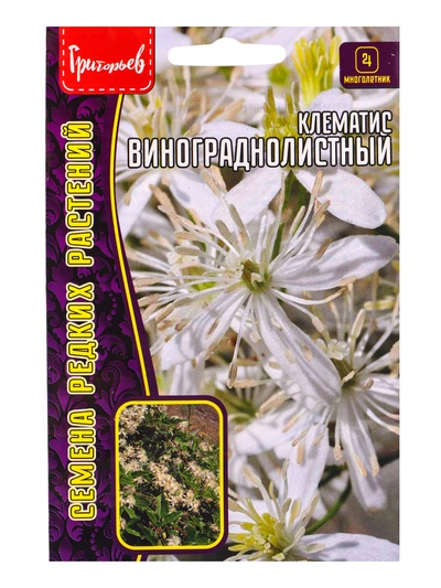 Семена цветов Клематис «Винограднолистный», 7 шт., «Григорьев»